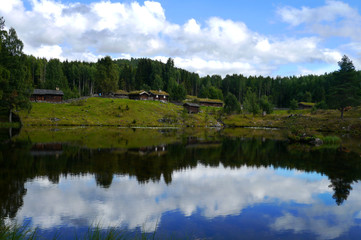 Fototapeta premium Norwegian Old Nature