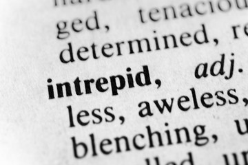 Obraz premium Intrepid