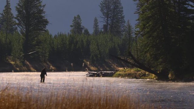 Slow motion of fisherman fishing in scenic river