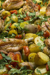 grilled mixed vegetables with roasted turkey under clubs