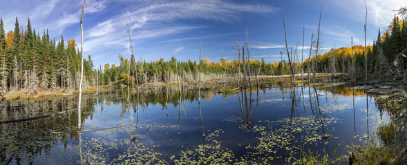 Beaver Pond in Autumn - Ontario, Canada © Brian Lasenby