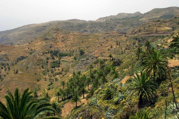 Fototapeta na wymiar Landschaft auf La Gomera 