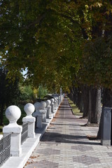 Paseos durante el otoño.
