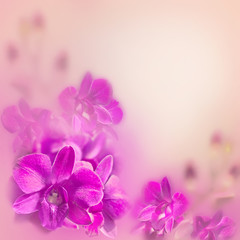 Abstract romantic floral background with pink tropical orchid flowers