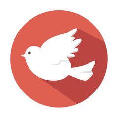 bird white wedding over white background, vector illustration