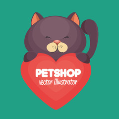 cartoon gray cat pet shop heart icon design vector illustration