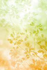 Bokah Leaves Background. A silhouette of fall leaves and tree branches with a pastel brown to green color gradient on a soft bokeh background.