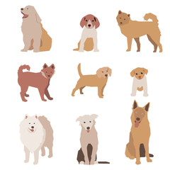 Set of dog character illustration. Dogs isolated on white. Vector 