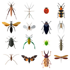 Insect icons set isolated on white. Vector illustration