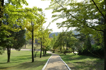 Obraz premium 시골 풍경