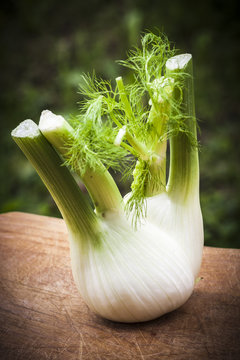 Wonderful fennel