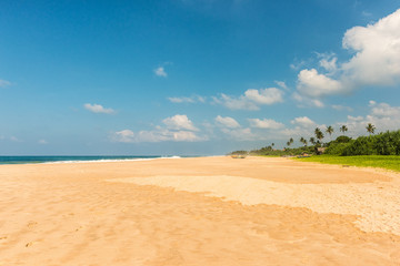 Tropical beach with wave in Sri lanka.