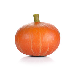 pumpkin isolated on the white background.
