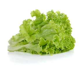 fresh  lettuce leaves isolated on white