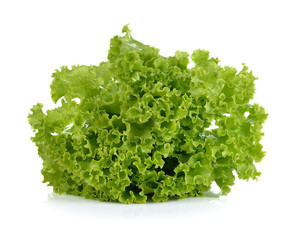 fresh  lettuce leaves isolated on white