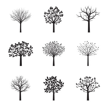 Set of black vector Trees. Vector Illustration.