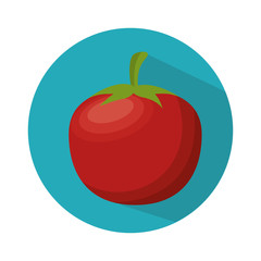 ripe tomato nutrition healthy food vector illustration eps 10