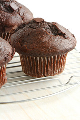 Double chocolate cupcakes