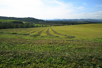 収穫後の牧草地と秋の空