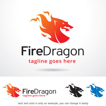 Fire Dragon Logo Template Design Vector