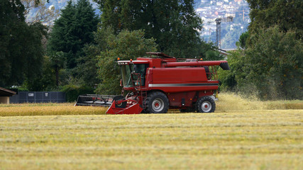 Combine harvester at work in a wheat field