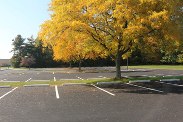autumn empty parking lot © lklales
