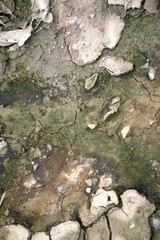 dry cracked soil texture background