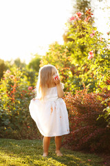 Little girl eats a tomato.