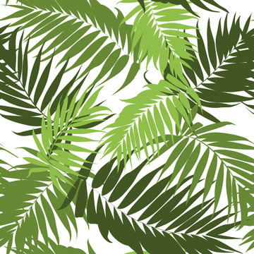 Jungle tree leaves tropical seamless pattern.