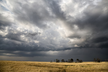 Fototapeta premium Storm Clouds Saskatchewan