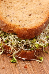 Wholemeal bread with alfalfa and radish sprouts