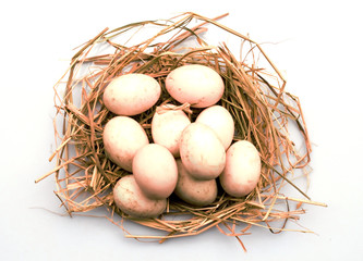 Fresh Egg and duck eggs.