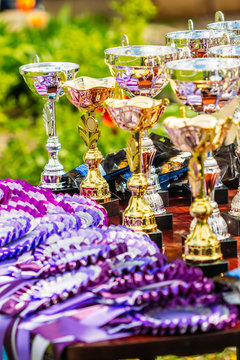 Medal cups and prizes for competitions