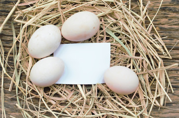 eggs on eggs background