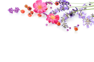 frame of rose and lavender in white background