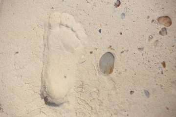 Footprints on the sand