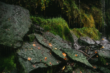 Falling water drops on mossy stones