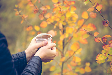 Woman's hand holding mug of hot chocolate on autumnal background