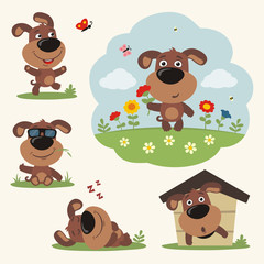 Vector set funny puppy dog in different poses on summer meadow with flowers. Collection puppy dog in cartoon style.