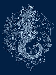 Sea horse coloring book for adults vector