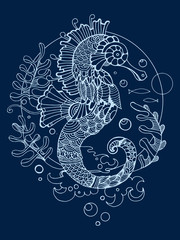 Sea horse coloring book for adults vector © Oleksandr Pokusai