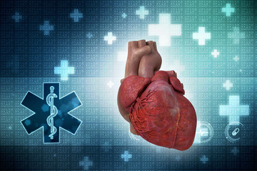 Anatomy of Human Heart 