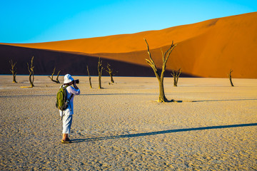  The woman - tourist photographing dried tree
