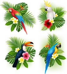 Obraz premium Zestaw kolekcja tropikalnych kwiatów i ptaków