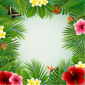 Tropical plants background

