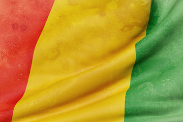 Guinea flag waving