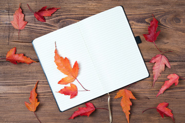 Naklejka na ściany i meble Open empty notebook and bright autumn leaves on wooden background, top view