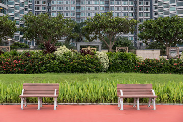 Wooden chair in a public park