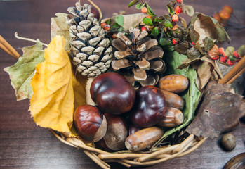 Colorful autumn with leaves, pine cones, chestnuts and acorn in