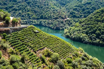 Rolgordijnen Wijngaarden langs Sil River, Ribeira Sacra, Lugo (Spanje) © Noradoa
